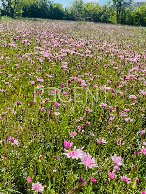 Split, Klis - Building plot 1760 m2