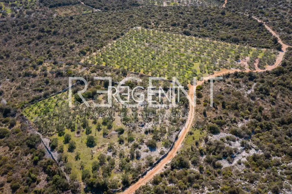 Trogir, Marina- luksuzna vila u mirnom okruženju, 6900m2