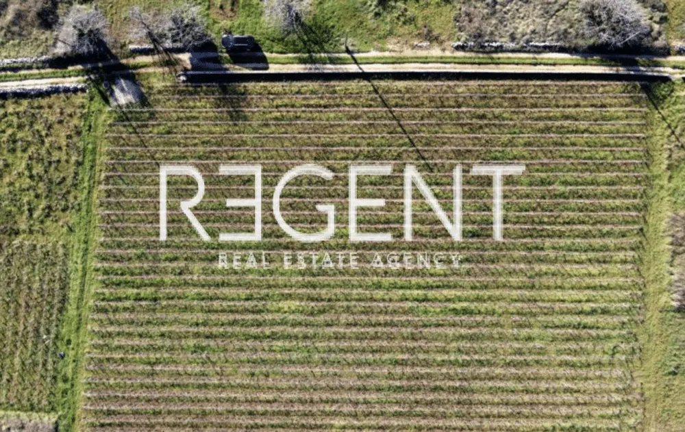 Trogir, Marina - agricultural land of 3000m2