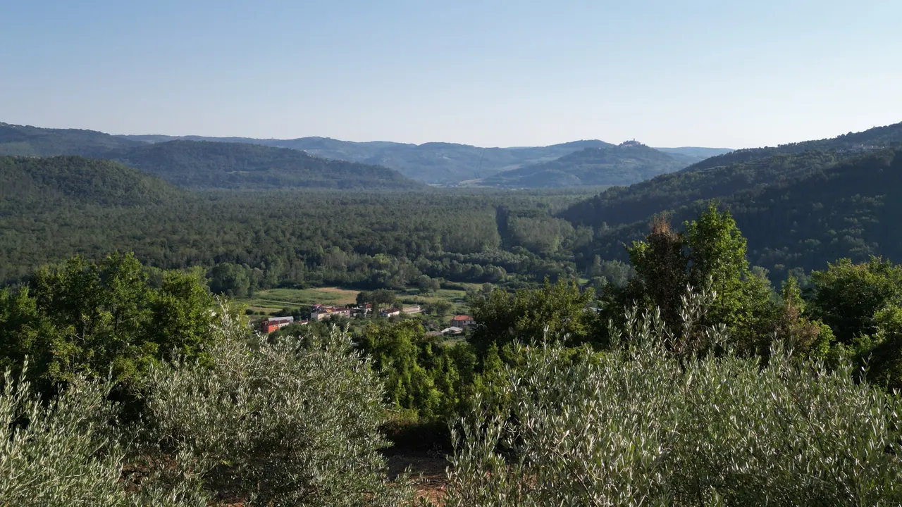 Istria, Gradinje - Terreno edificabile e agricolo con vista panoramica