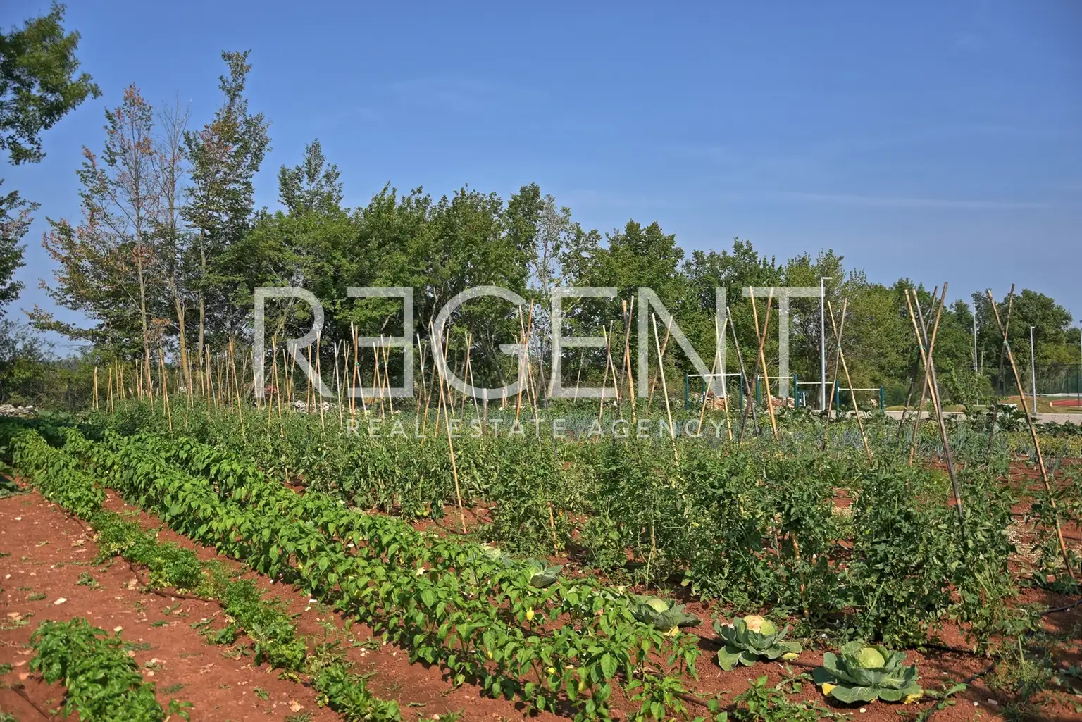 Istra, Poreč - Atraktivní kamenná vila s tenisovým kurtem a bazénem