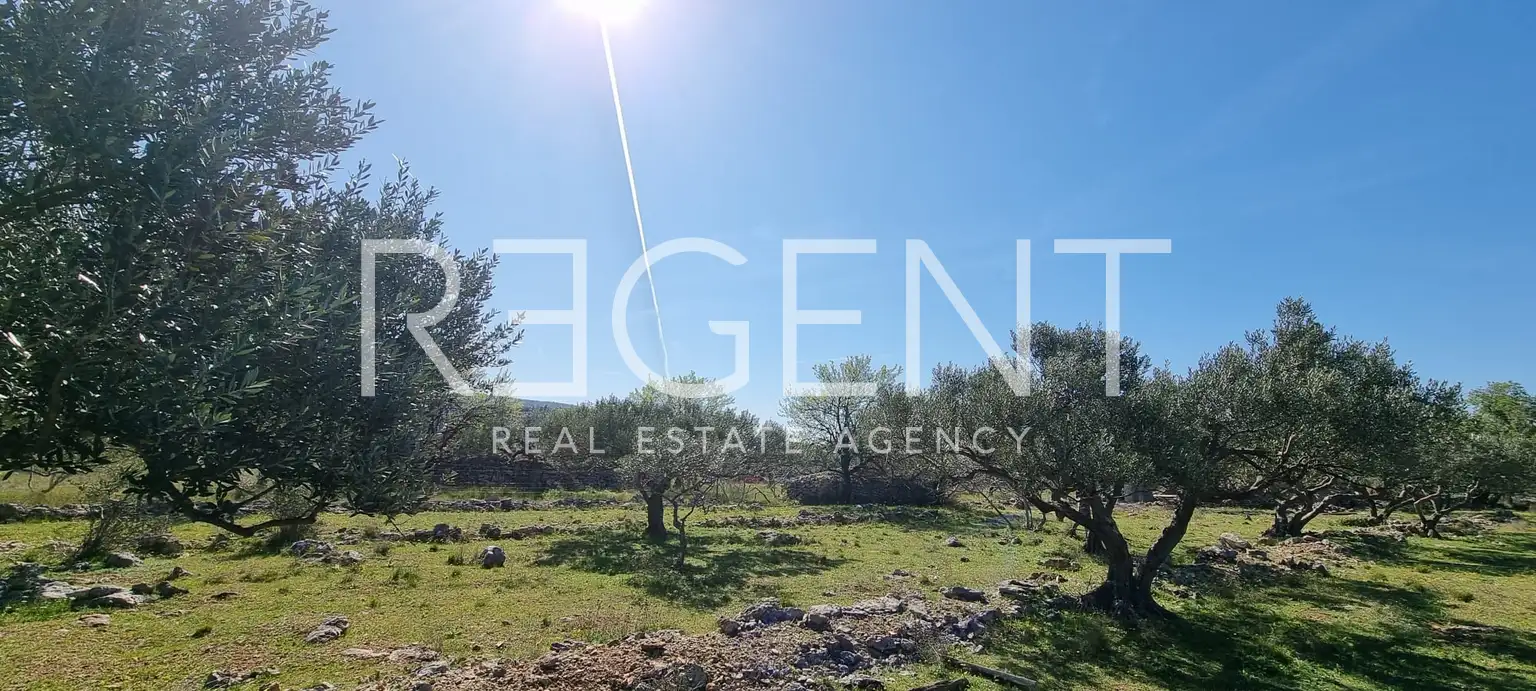 Brač, Milna - Poljoprivredno zemljište turističke namjene