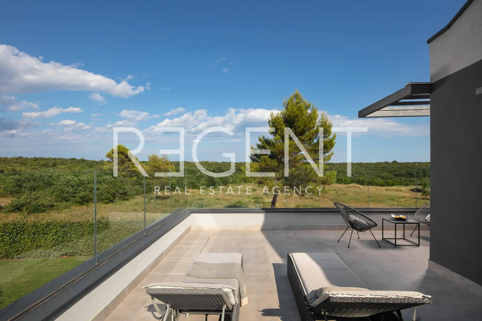 Villa 250 m², Vodnjan area — 78 m² pool, 1600 m² plot