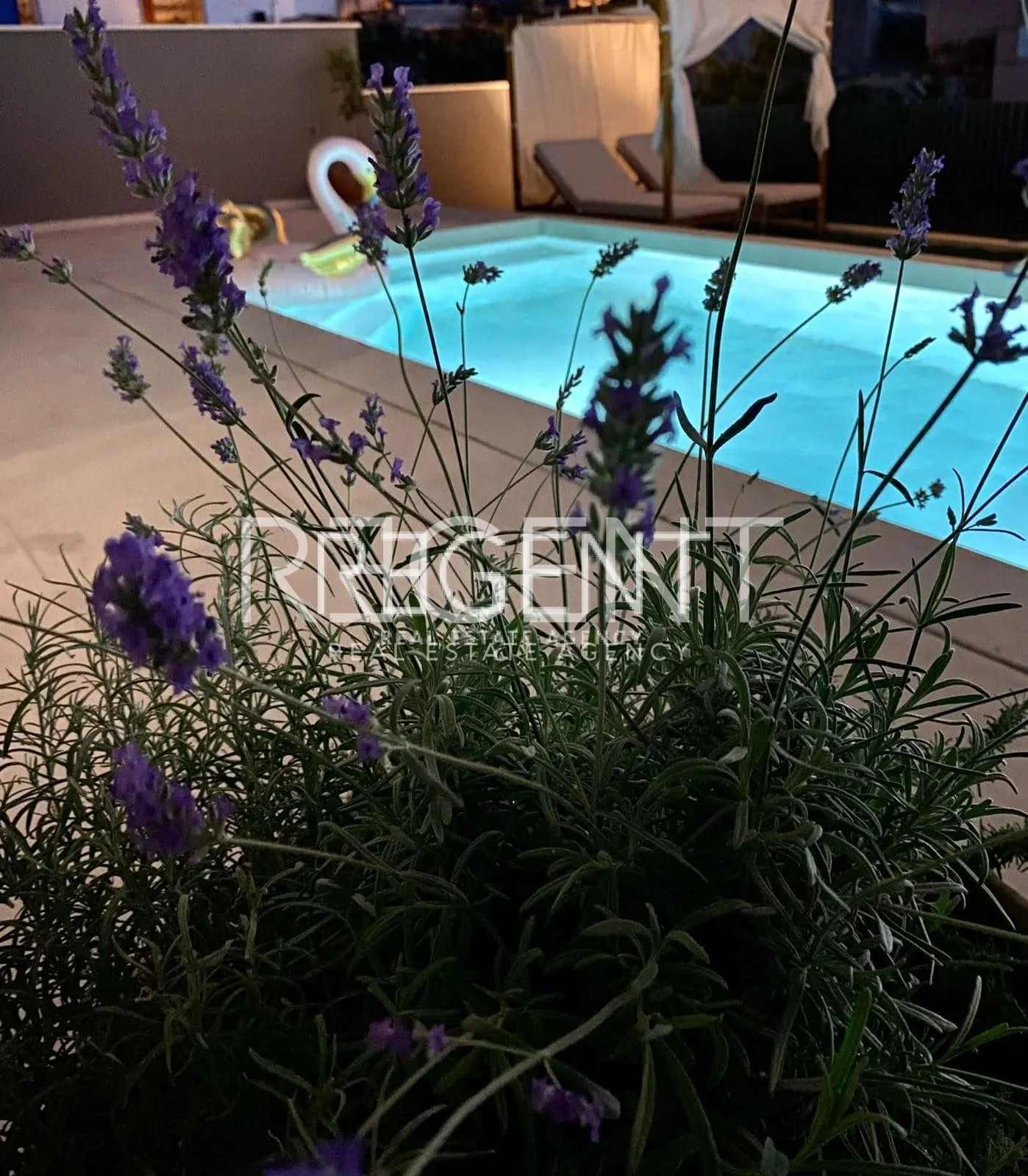 Makarska - Luxurious villa with three residential units