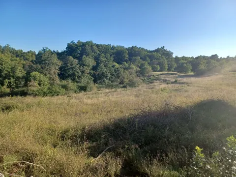 Istrie, Tinjan - Stavební pozemek 5459 m2 + zemědělský 1776 m2