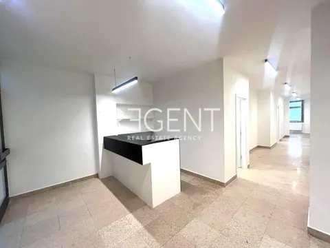 Záhřeb, Trešnjevka obchodní prostor 250 m2