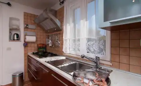 Brač, Mirca - Vila z bazenom ob morju 330m2