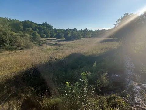 Istrie, Tinjan - Stavební pozemek 5459 m2 + zemědělský 1776 m2