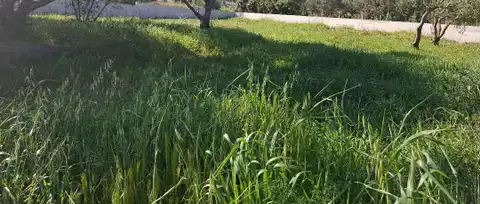 Pelješac, Orebić, Baugrundstück - ideale Investitionsmöglichkeit