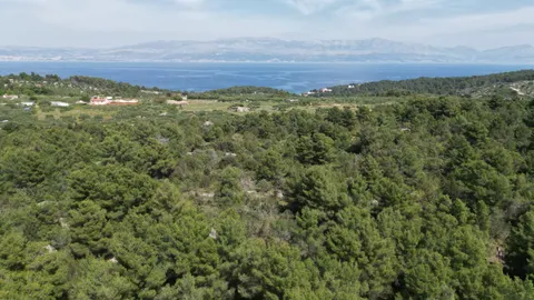 Brač, Sutivan - Poľnohospodárska pôda (24 504 m2) s možnosťou výstavby