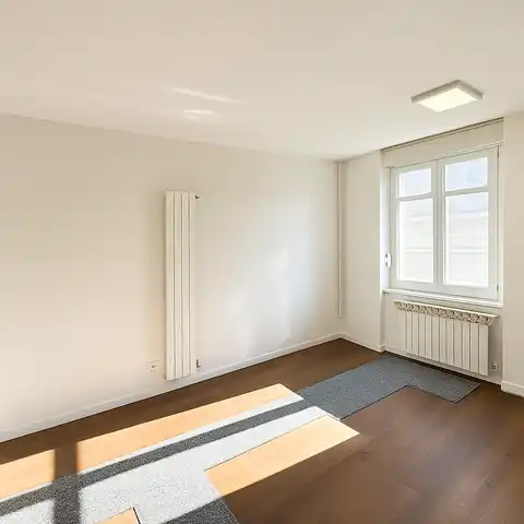 Загреб, Центр - Обновленная трехкомнатная квартира в самом центре города