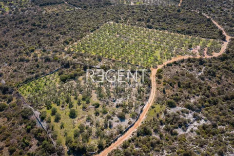 Trogir, Marina - luxusní vila v klidném prostředí, 6900m2