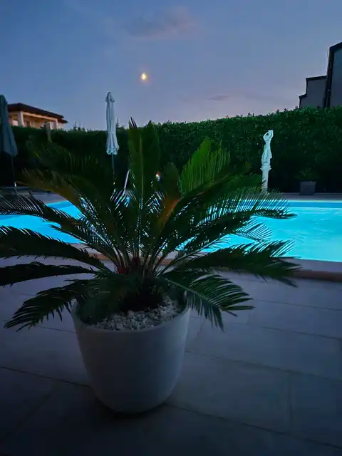 Parenzo, dintorni – casa di 135 mq, arredata con piscina e giardino.