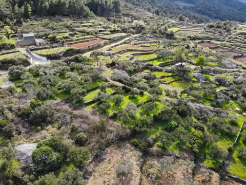 Hvar – Pozemok s projektom pre tri luxusné vily