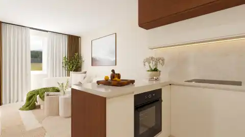 Vabriga – mieszkanie dwupokojowe z tarasem