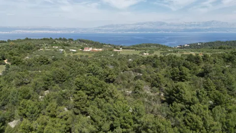 Brač, Sutivan - Poľnohospodárska pôda (24 504 m2) s možnosťou výstavby