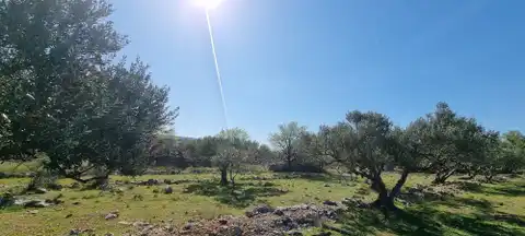 Brač, Milna - Poljoprivredno zemljište turističke namjene