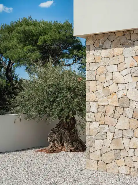 Šolta - Moderna vila s bazenom