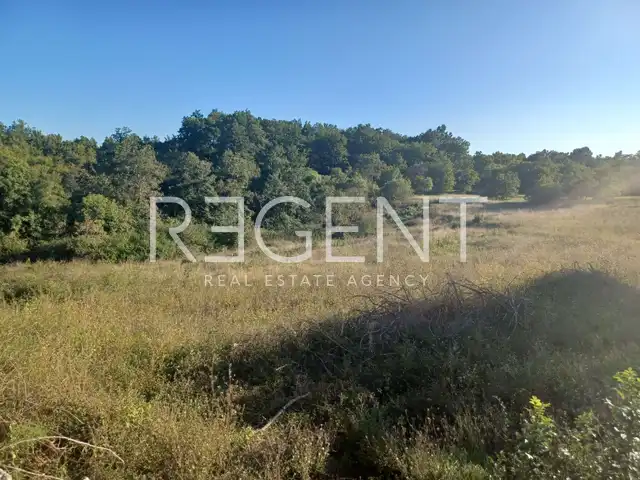 Istrien, Tinjan - Baugrundstück 5459 m2 + landwirtschaftliche Fläche 1776 m2