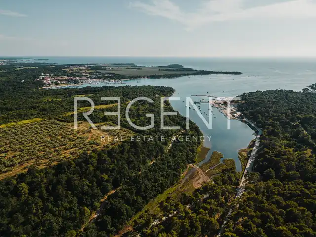 Istrie, Vabriga – Moderní vila s bazénem v blízkosti moře