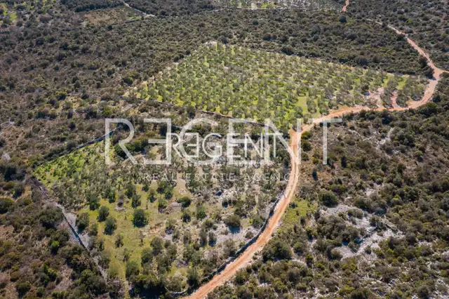 Trogir, Marina - villa de luxe dans un environnement paisible, 6900m2