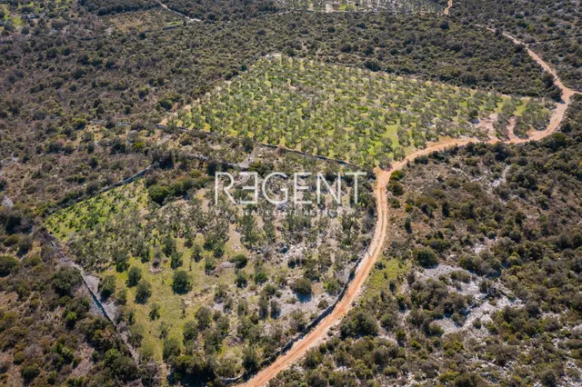 Trogir, Marina- luksuzna vila u mirnom okruženju, 6900m2