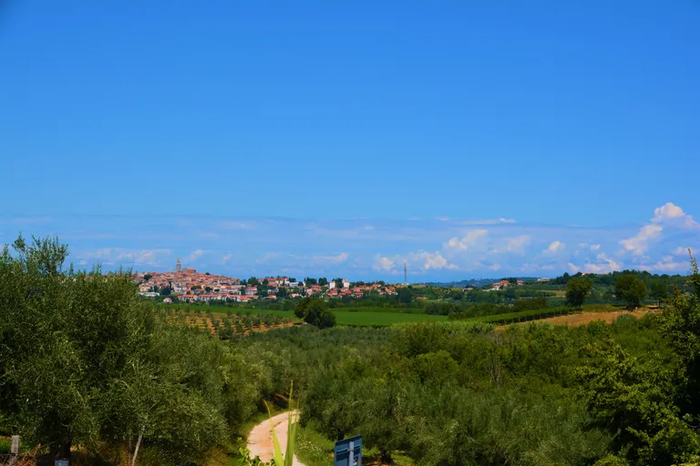 Istrie, Buje - Stavební pozemek 880 m2
