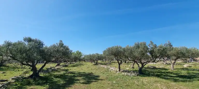Brač, Milna - Poljoprivredno zemljište turističke namjene