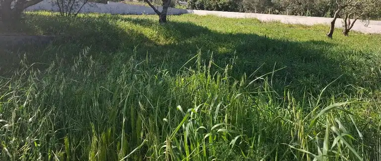 Pelješac, Orebić, stavební pozemek - ideální investiční příležitost