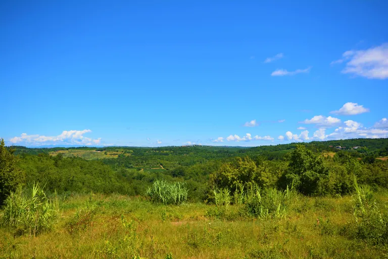 Istra, Buje - Građevinsko zemljište 880 m2