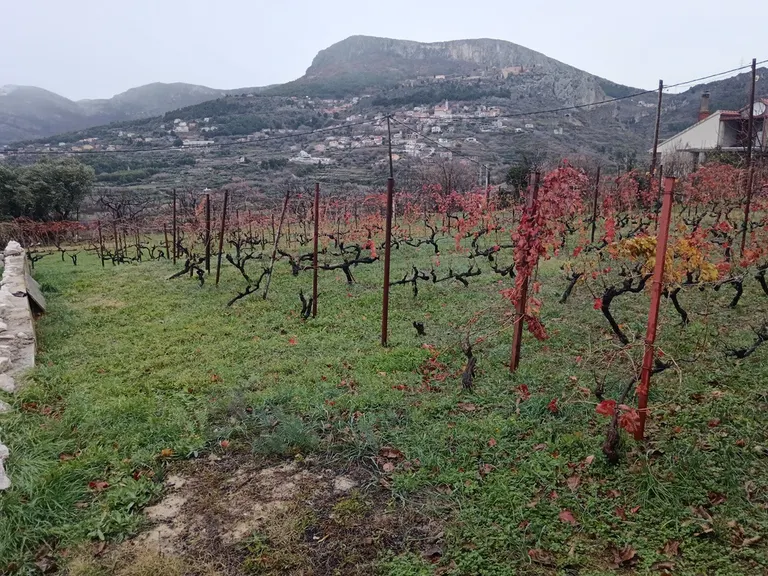 Split, Klis - działka budowlana 1135 m2